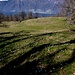Krokuswiesen von Sant Abbondio und Gridone