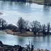 Ein Inselchen im Rhein