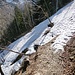 Lawinenschnee in den Couloirs