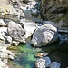 Maggia