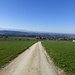 Blick zurück über Frieswil