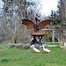 Keine Angst vor dm Drachen