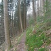 Ein Highlight dieser Etappe: Der Weg am Hang des Wilden Waibelsbergs.