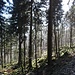 Ab und zu wird's etwas felsig.