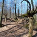 Gnome bei Neckargemünd.
