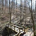 Leider schwenkt der Weg hier in langweiligen Wald hinein.