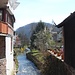 Die Steinach.