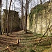 Ruine Tudoburg V