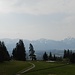 Diesige Gipfelaussicht Richtung Ammergauer