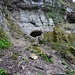 Die Ibach-Höhle. Klein aber schnucklig...