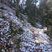 Auf dem rot-weiß markierten Bergweg nach dem steilen Ausstieg aus dem Horngraben. Der Boden war hart gefroren.