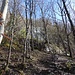 lauschiger Einstieg unter den Felswänden