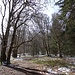 in der Waldpassage vor dem Gipfelplateau