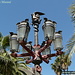 Plaça Reial (lampioni di Antoni Gaudí)