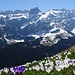 Der Blick zur allgegenwärtigen nördlichen Alpsteinkette.