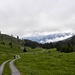 Start bei Obermarkter Alpe,1450m, irgendwo  im Wald( Bildmitte) es  ist   das Parkplatz.