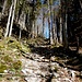 Die alte Alpstrasse über Chrinn zur Gräppelen