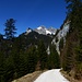 nochmal die Klammspitzen. Links die Sefelwand.