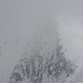 bescheidene Gipfelaussicht, im Nebel die Ruch Chälen