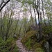 Sentiero che unisce: Poncione di Ganna al Monte Minisfreddo. Inizialmente ben riconoscibile, piu' avanti la vegetazione prendera' il sopravvento, in ogni caso é ben segnalato da ottima verniciatura segnavia.