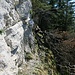 Dieser umgestürzte Baum machte das Leben im Abstieg zum Nidleloch nicht einfacher
