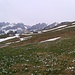 Alpe mit Kreuzbergen im Hintergrund