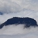Der Pico Bejenado (1844 m)