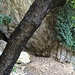 <br />Mein erster Eindruck von der Grotte: Ein Baum vor der Nase