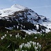Unser heutiges Gipfelziel, der Selun. Zwischen Frühling und Winter.