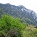 der Hornpfad führt etwa in der Bildmitte hinauf in den bewaldeten Trichter links unterhalb des Chöpflis. 