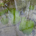 Wasserspiele