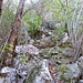 Wegpassage des alten Weges zur Alp Larèchia.