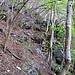 Wegpassage des alten Weges zur Alp Larèchia.