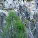 Die steilen Wände in der Schlucht.