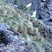 Wegpassage