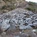 I resti della cava su cui si scende verso San Fedelino, tratto un po' delicato