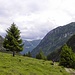 Abstieg ins Starkenbach,Lechtaler Alpen.
