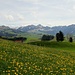 Hoher Kasten, depuis la descente sur Appenzell