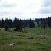 Gegend Raimeux de Cremines