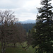 Aussicht, müsste der Weissenstein sein...