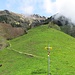 "nach dem Brückle" öffnet sich die schöne Alp um Gauscha - endlich mal baumfreies Terrain, wenn auch nicht für lang