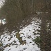 Foto vom Februar; der untere Einstieg in den Pfad nördlich des Teufelstales. ~1,5km südöstlich von Bodman geht es, an der Schranke vorbei, hinauf. Direkt rechts (nicht mehr im Bild) ist ein Sporn, der mit gleichmäßiger Steilheit zum Hals-Weg hinaufführt