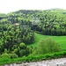 Blick hinüber zum Holznechhübel. Die kleine Scheune: [http://www.hikr.org/gallery/photo1744161.html?post_id=94213#1 Sonnenweid]