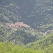 Buggio