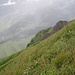 Steilgrashang an der Kanisfluh - tief unten das Tal der Bregenzer Ache