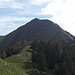 la bella cresta dall'alpe alla vetta