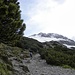 In Aufstieg  zur Steinjochl,2198m und Maldongrat,2544min  die Lechtaler Alpen.