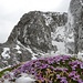 Winteridylle mit Nordwände  des Maldongrat,2544m, in Lechtaler Alpen, Sommer 2013!