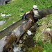 Brunnen von Sut