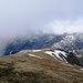 Der Grasrücken unterhalb des Widderfeld-Gipfels. Auch das Mittaggüpfi steckt in den Wolken!